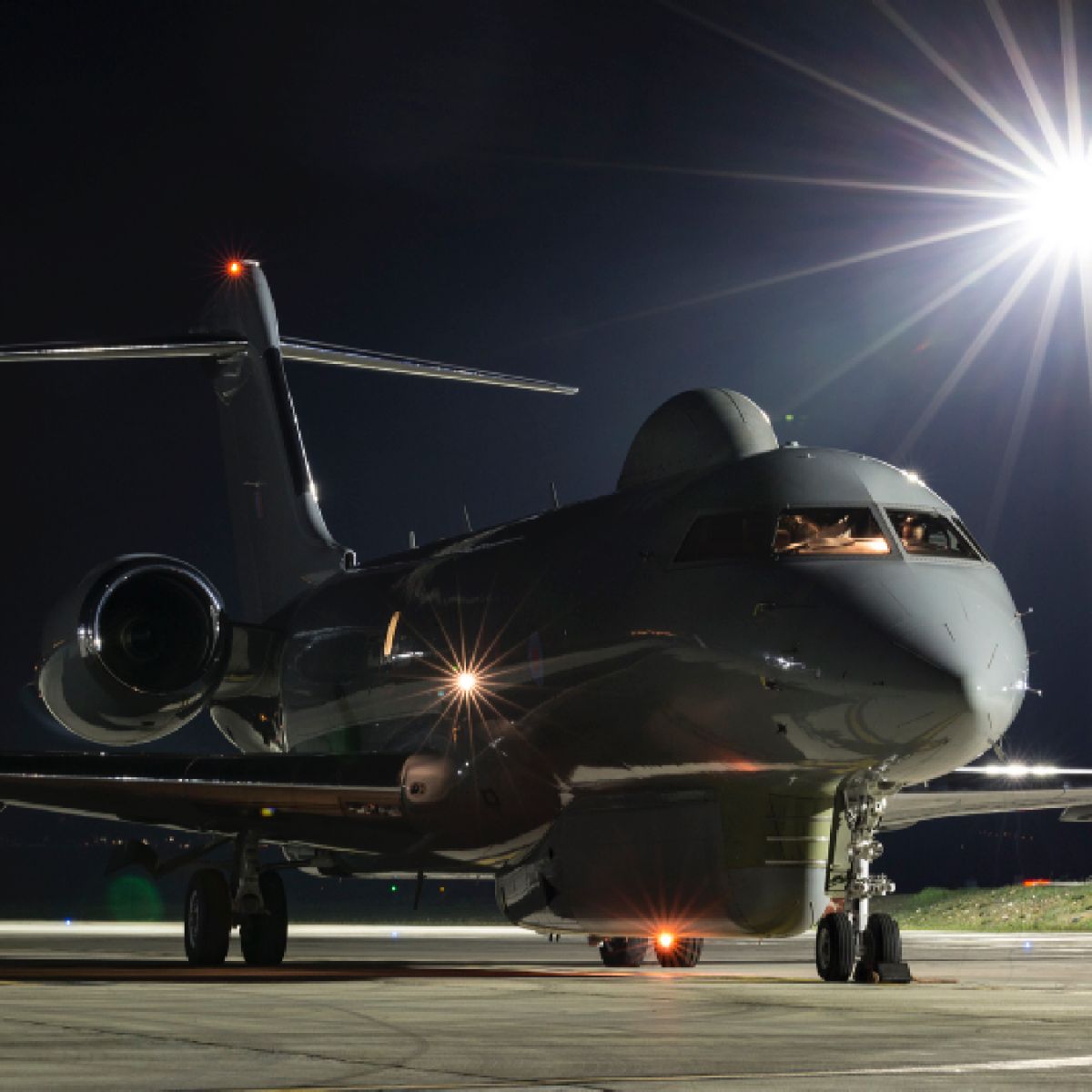 Sentinel 45165220 2x