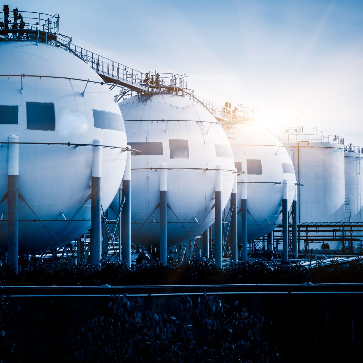 Shutterstock 271519391